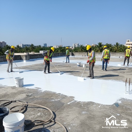 project img